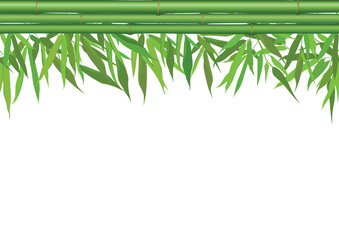 floral seamless border. frame of bamboo sticks and leaves.