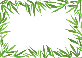 bamboo leaves frame. vector floral borde