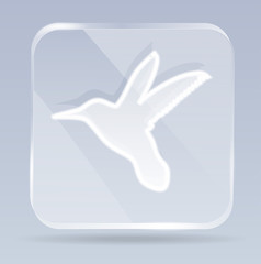 glass colibri icon