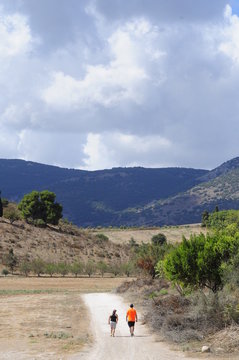 Pastoral Landscape with trees and hills, Israel