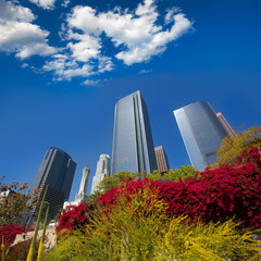 Los Angeles LA downtown at Hill street