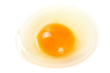Raw egg on the plate for cooking