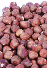 Hazelnut with white background