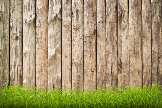 sfondo in legno con profilo d'erba