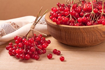 viburnum berries
