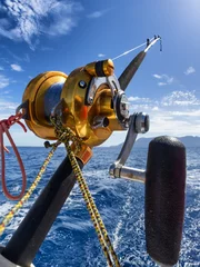 Foto op Plexiglas fishing reel and pole © Federico Rostagno
