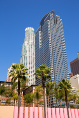 Naklejka premium LA Downtown Los Angeles Pershing Square palm tress