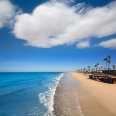 Fototapeta premium Newport beach in California with palm trees