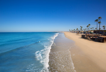 Naklejka premium Plaża Newport w Kalifornii z palmami