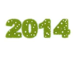 Green 2014 New Year sign