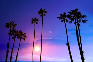 Papier Peint photo autocollant Los Angeles Californie hauts palmiers coucher de soleil ciel silohuette fond USA