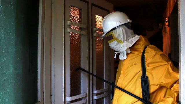 Pest Control and fumigation