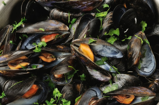 cozze