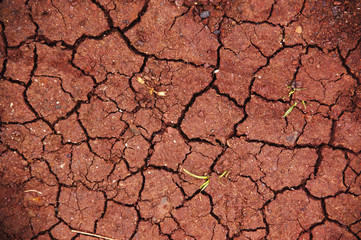 verbrannte Erde