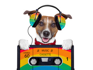 music dog