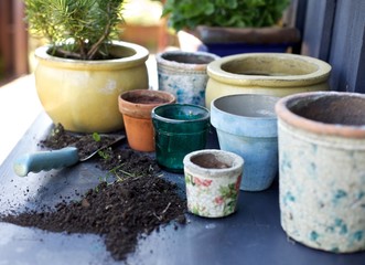 Terracotta plant pots on counter