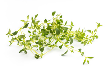 Thyme.