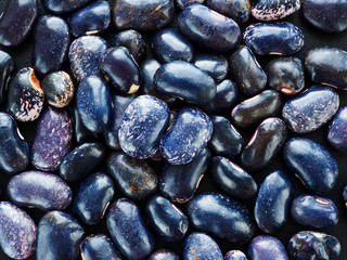 Colorful beans