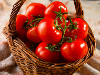 Panier de tomates grappes fraîches