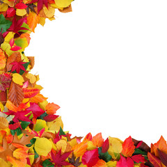 Herbstlaub mit Textfreiraum