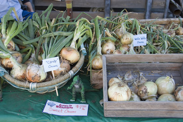 Onions for sala at Kittitas Farmer's Market, Ellensburg, USA