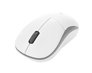 Computer mouse on a white background