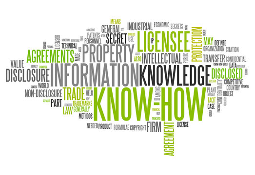 Word Cloud "Know How"