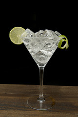 refreshing gin tonic