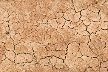 Closeup to dry crack ground