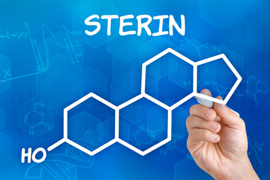 Hand mit Stift zeichnet chemische Strukturformel von Sterin