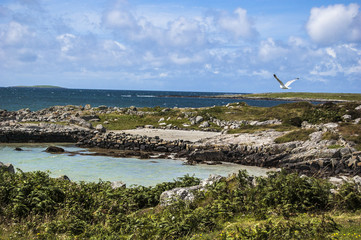 Turquoise beach and green field in Connemara