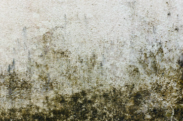 Rusty dirty white cement wall