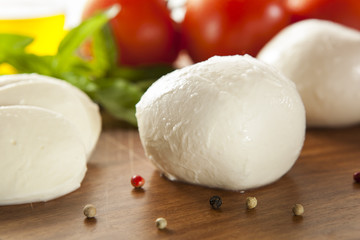 Homemade Organic Mozzarella Cheese