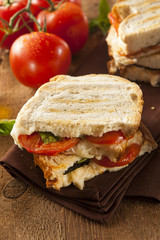 Homemade Tomato and Mozzarella Panini