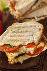 Homemade Tomato and Mozzarella Panini