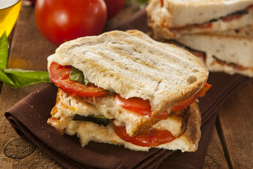 Homemade Tomato and Mozzarella Panini