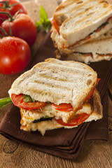 Homemade Tomato and Mozzarella Panini