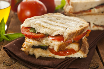 Homemade Tomato and Mozzarella Panini