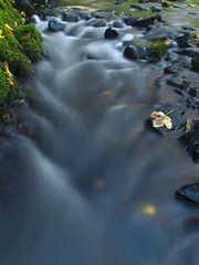 Cascade on small mountain stream