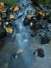 Cascade on small mountain stream