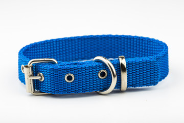 blue dog collar