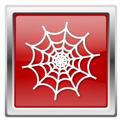 Spider web icon
