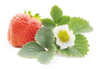 Strawberry with leaves