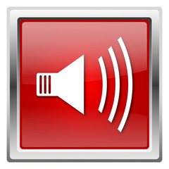 Speaker icon