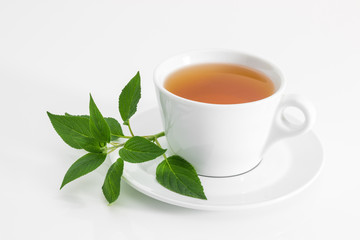 Cup of tea with fresh mint
