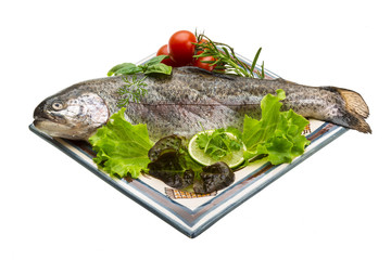 Fresh raw rainbow trout