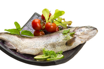 Fresh raw rainbow trout