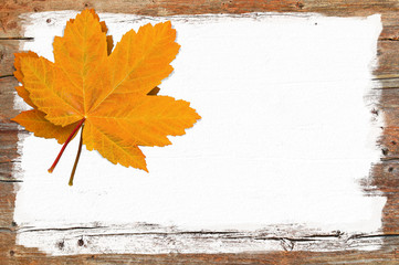Herbst, Ahornblatt, Holz, grunge, Textfreiraum
