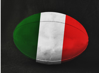 Italy rugby
