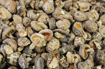 dried shiitake mushrooms